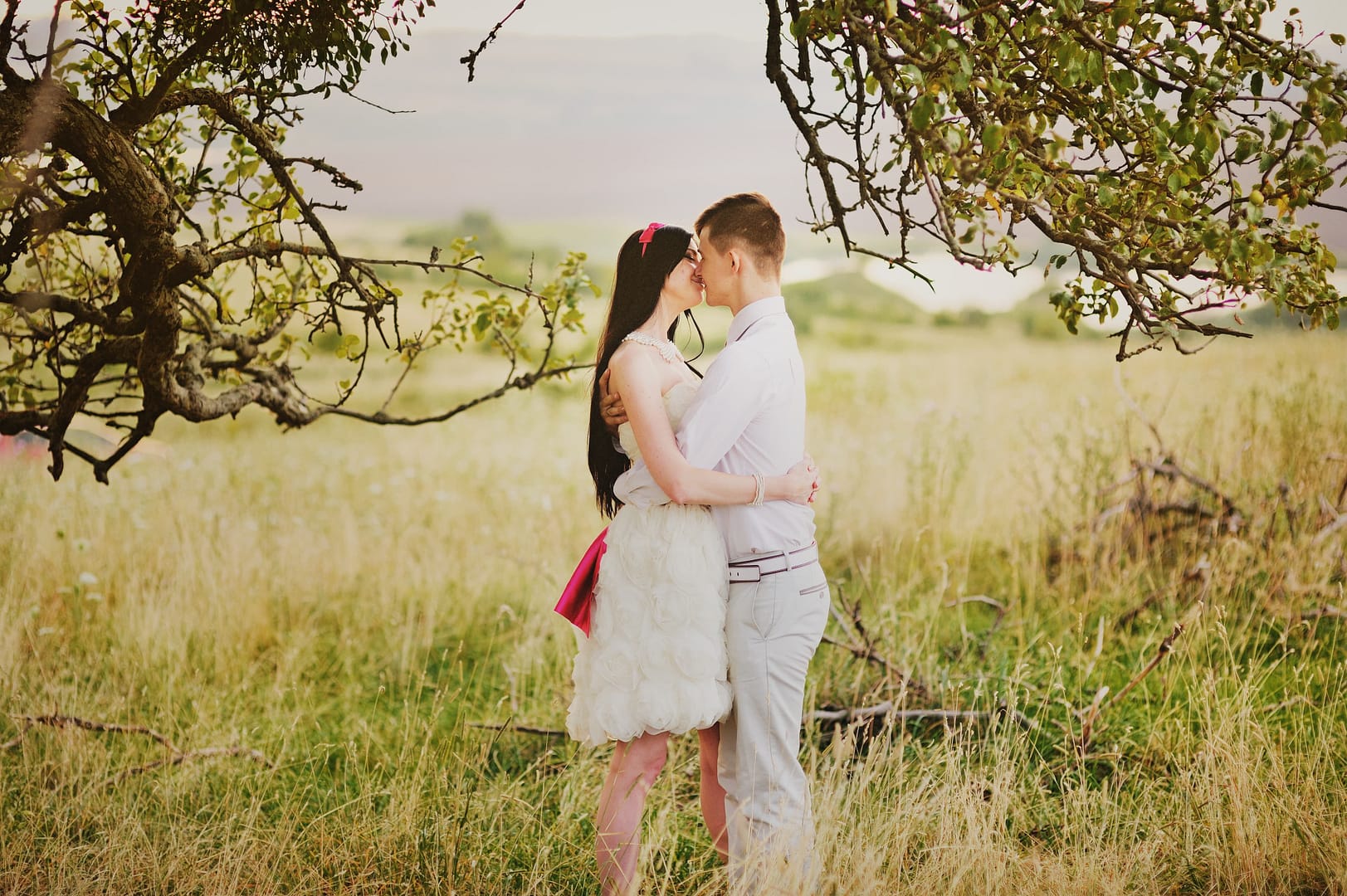 A couple stands in a grassy field, embracing and kissing under tree branches, dreaming about their marriage resolutions with hills visible in the background.