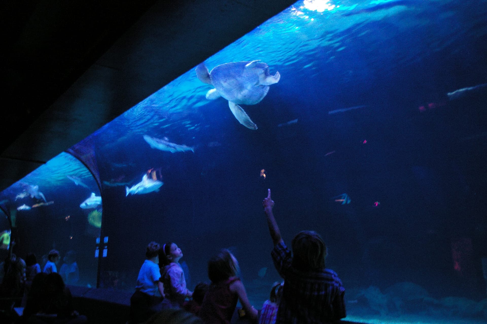 Vancouver Aquarium