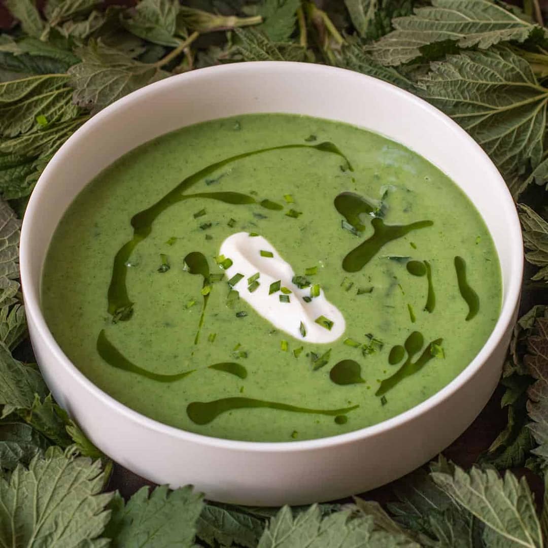 Nettle Soup