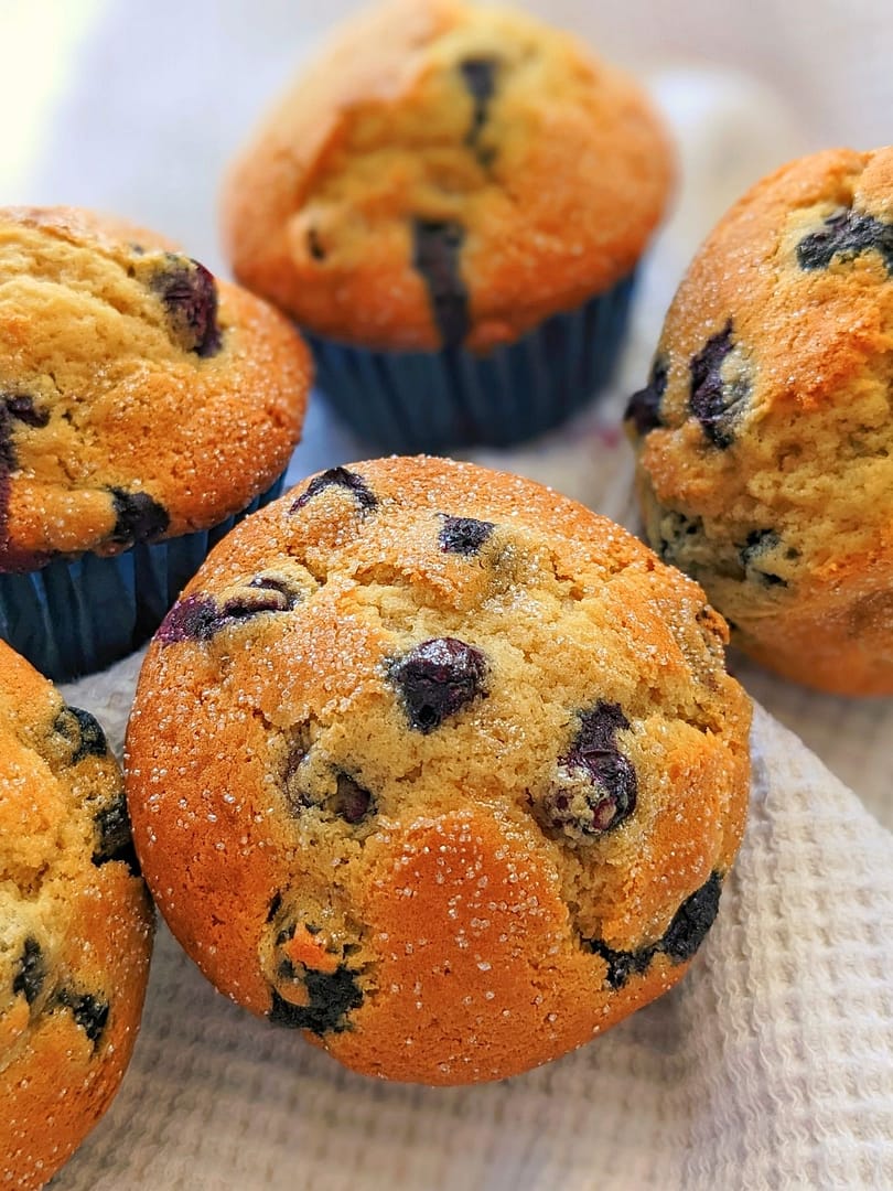 Fruit Muffin