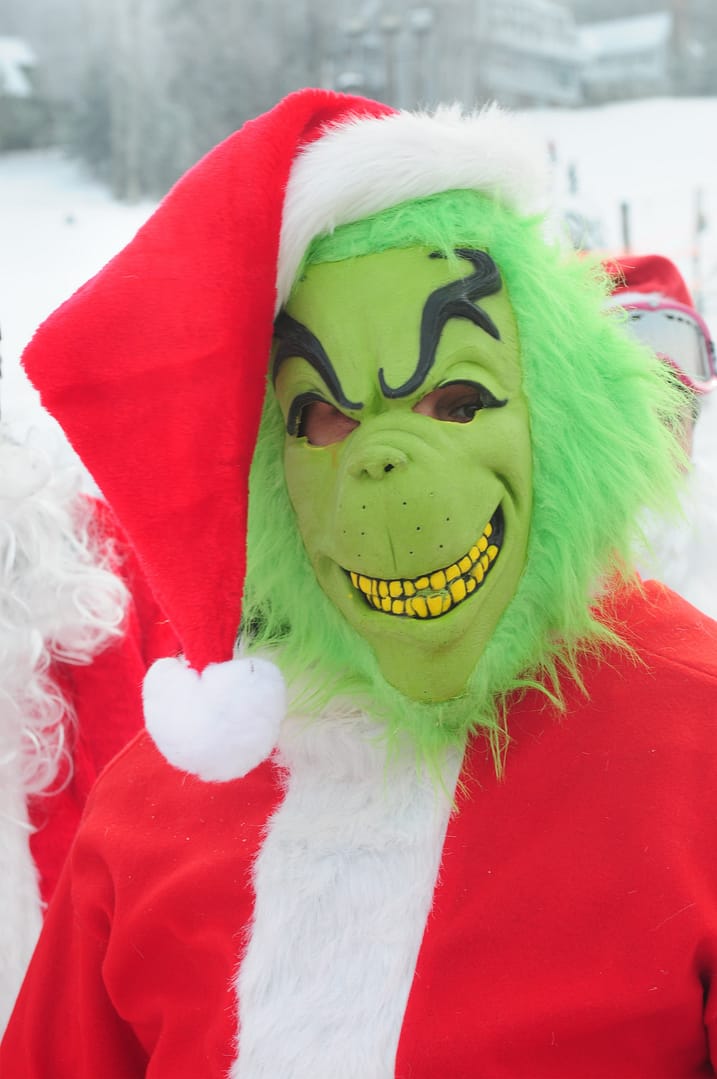 The Grinch costume
