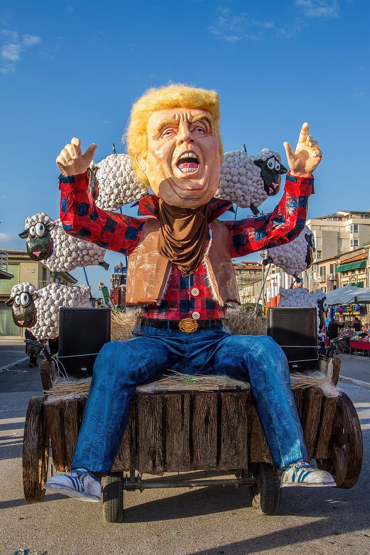 Donald Trump costume