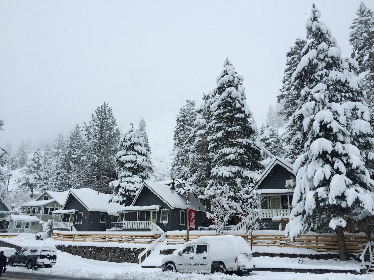 June Lake Pines