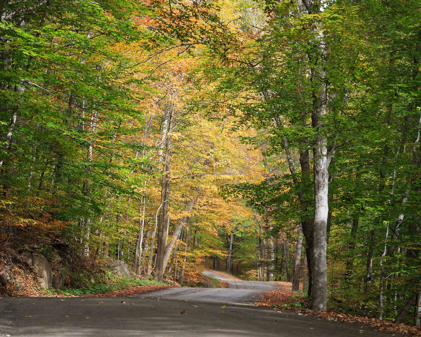 Autumn Drives through Lake George, New York