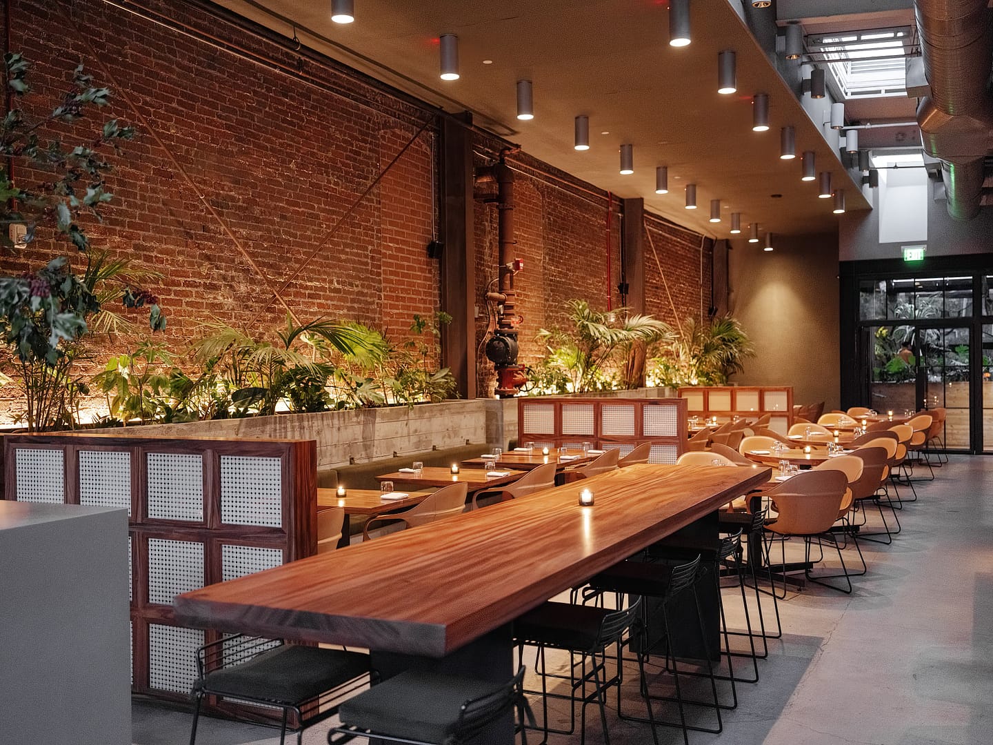 Damian Los Angeles interior