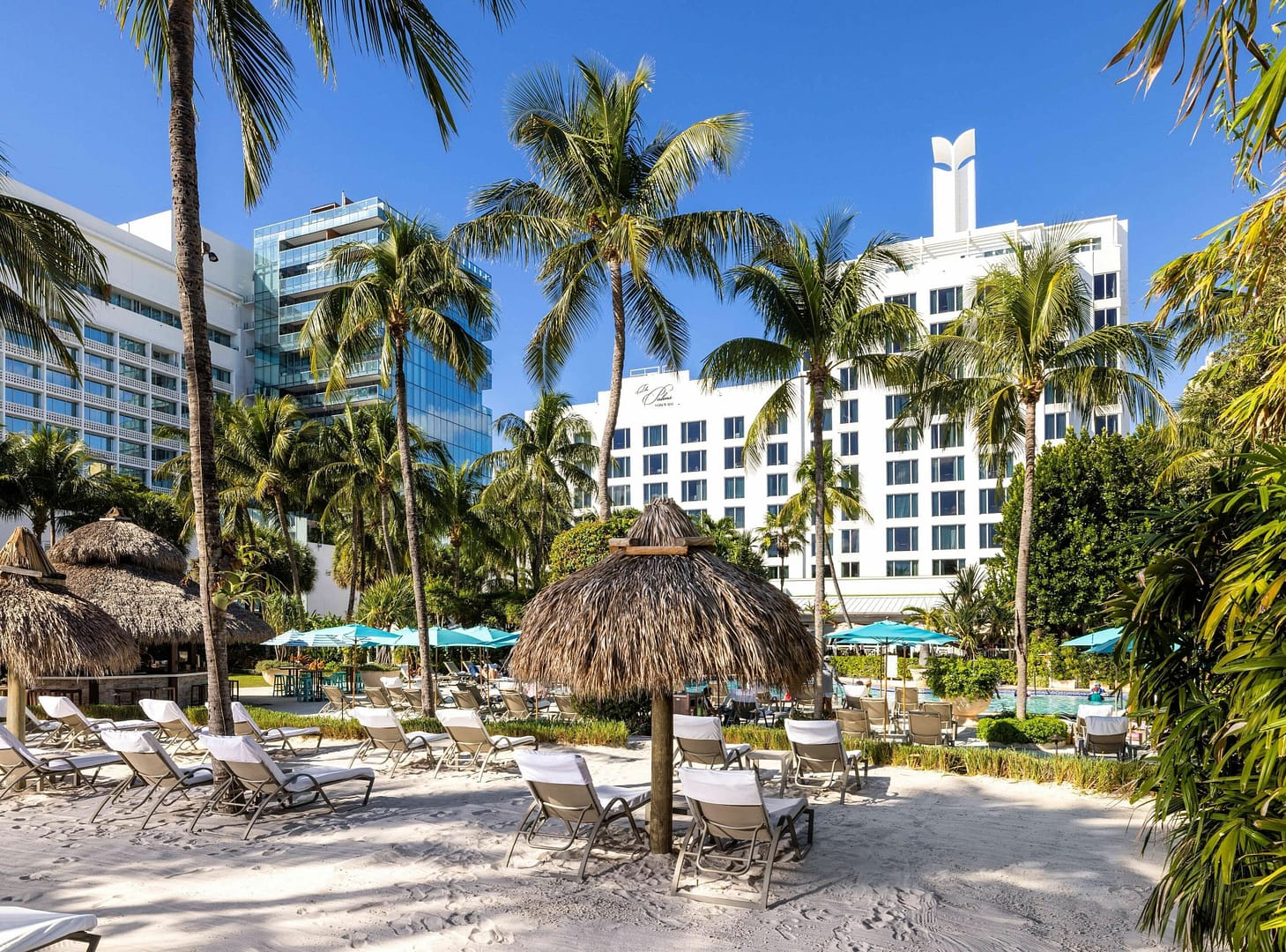 Patio view of The Palms Hotel & Spa