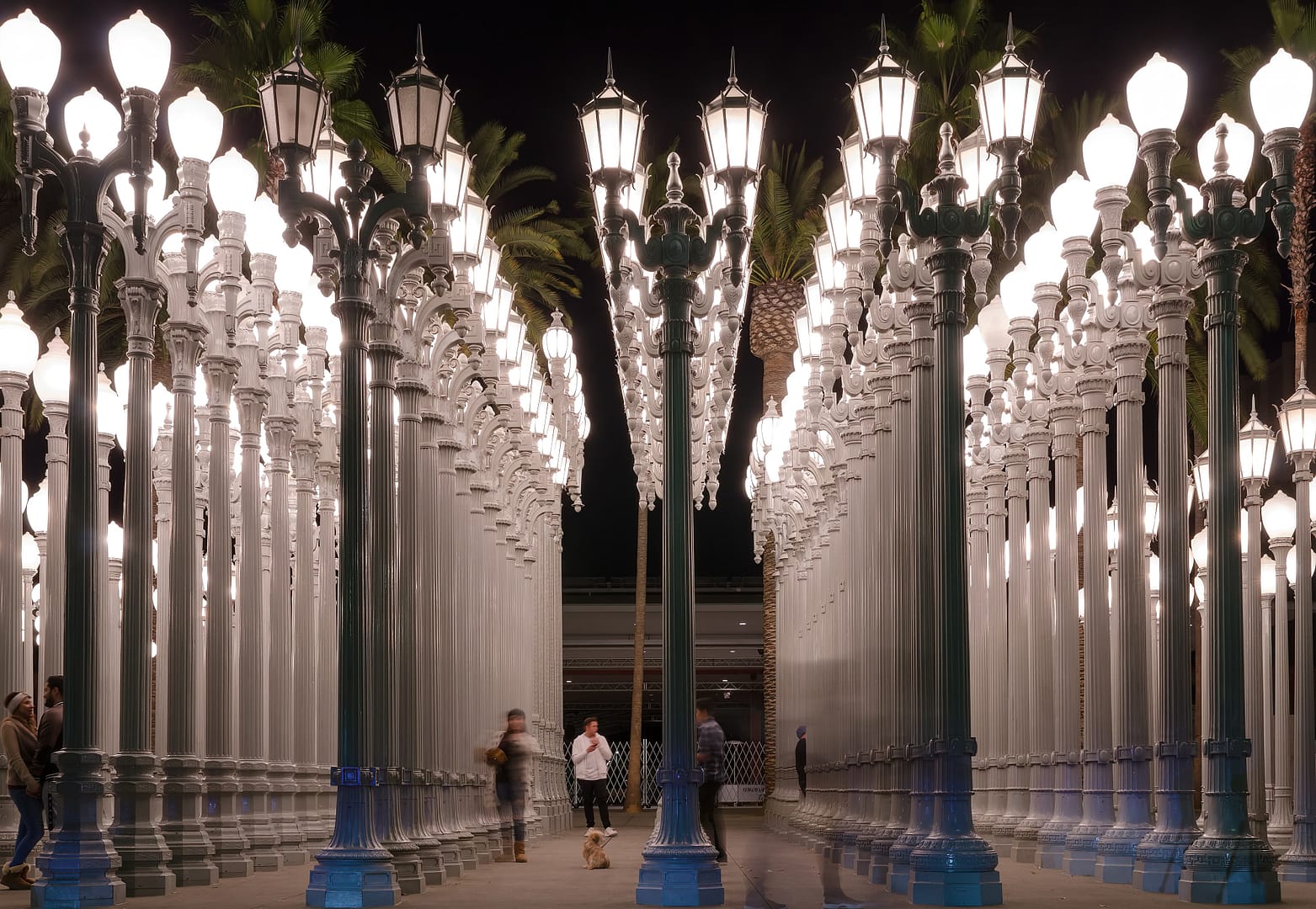 Urban Light at Los Angeles County Museum of Art at night