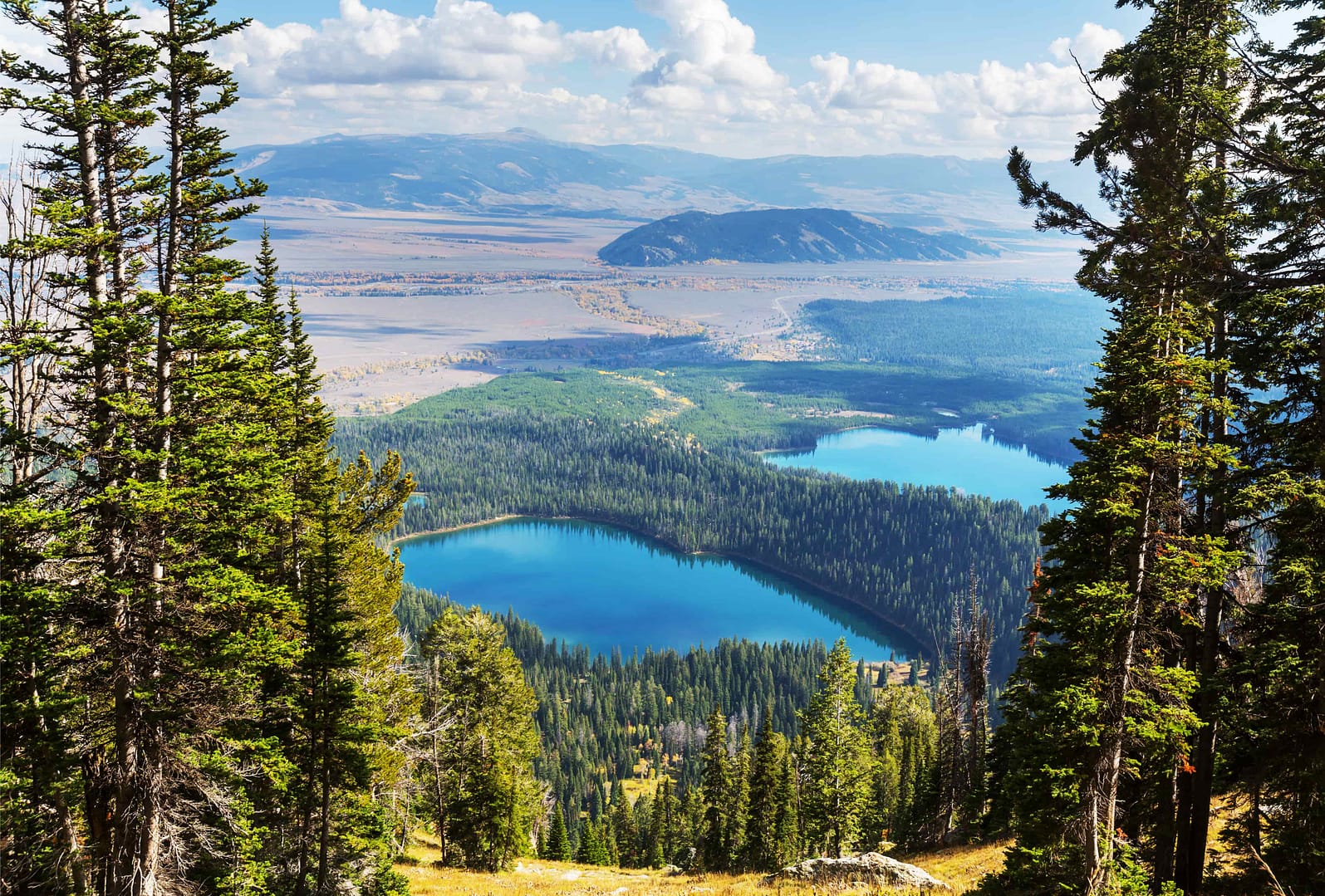 Grand Teton National Park, Wyoming, USA