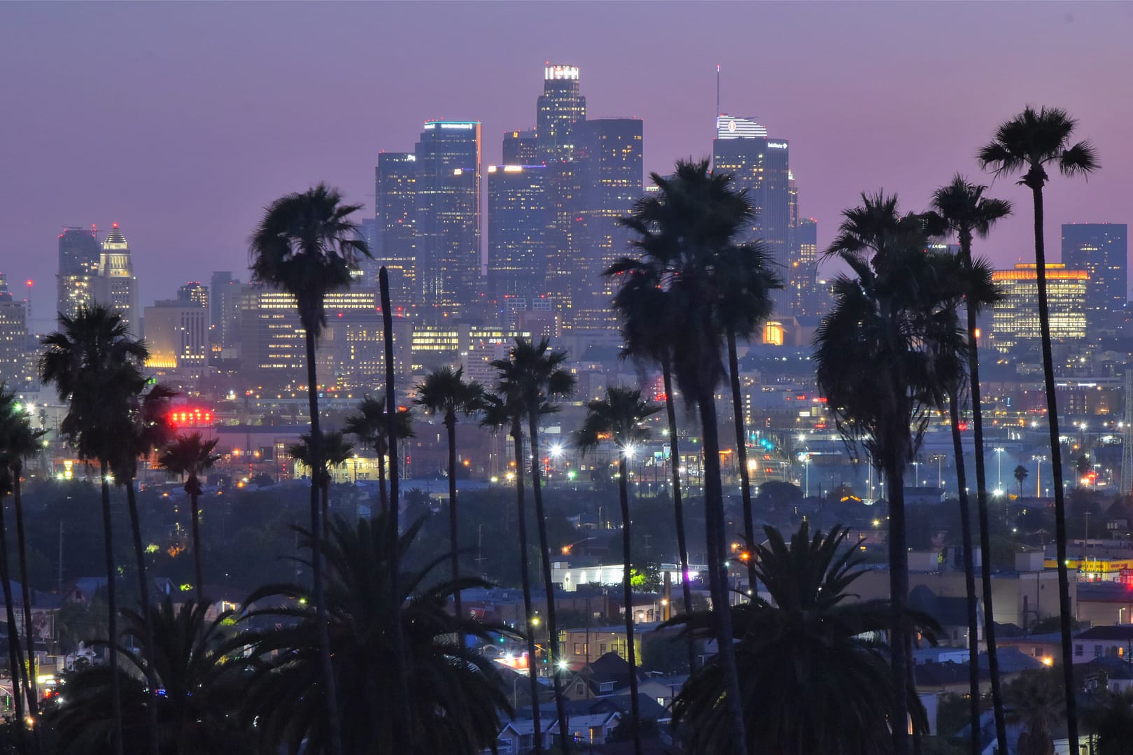 Silhouetted palm trees stand in front of the California city skyline at dusk, with skyscrapers illuminated and various lights dotting the urban landscape