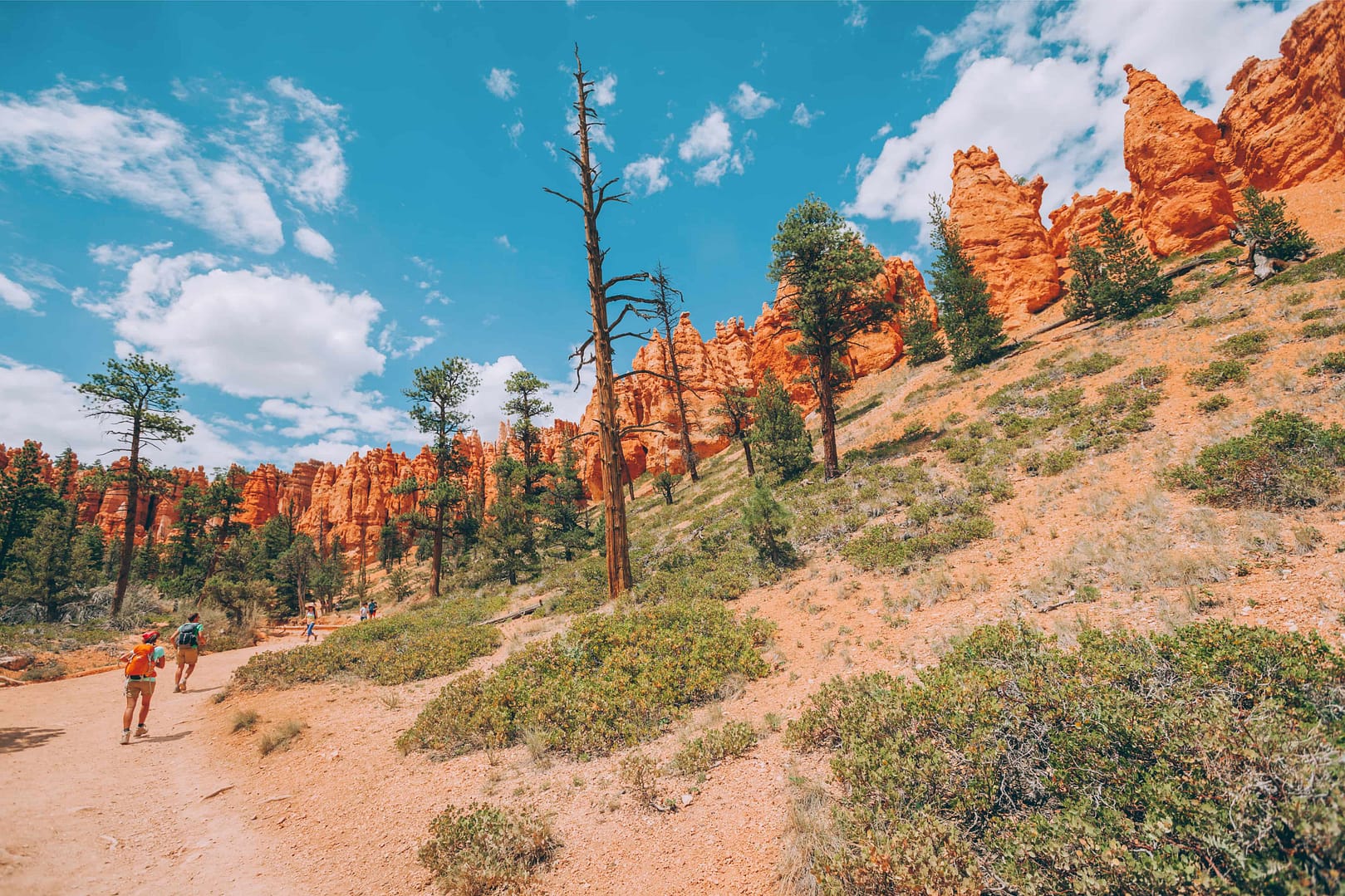 Bryce Canyon National Park hikers tourists walking amongst crimson colored hoodoos rock formations in the Amphitheater Path