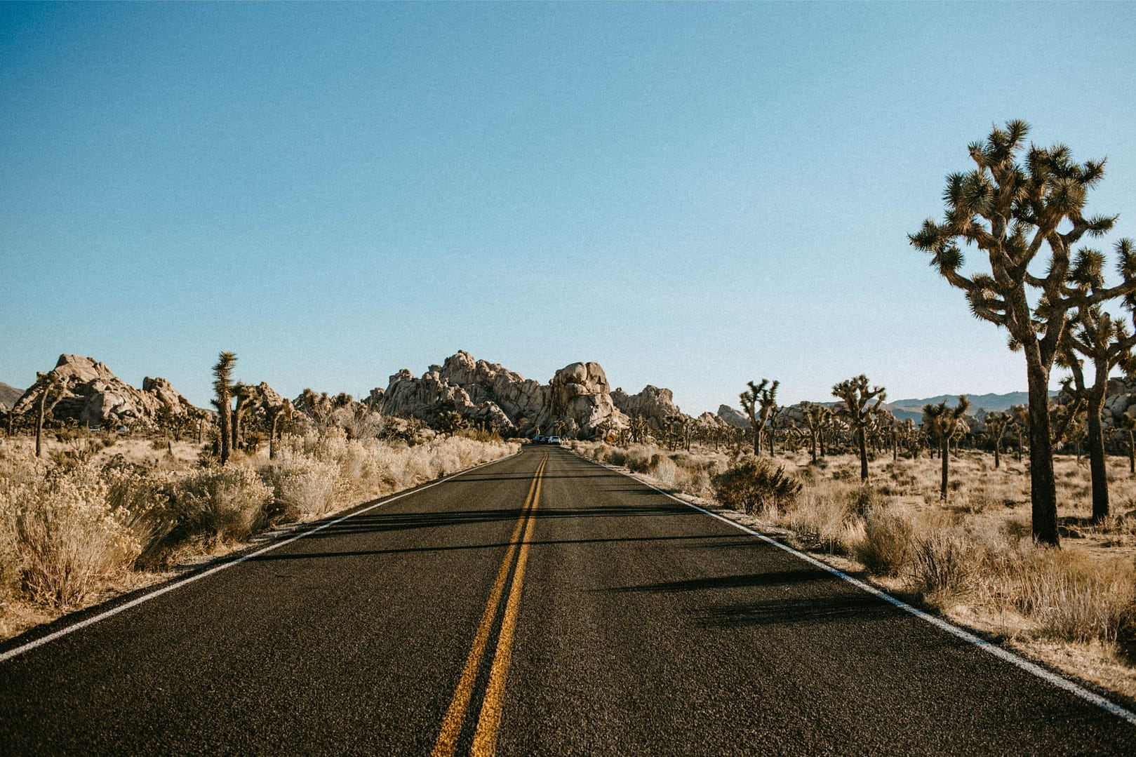 Joshua Tree National Park