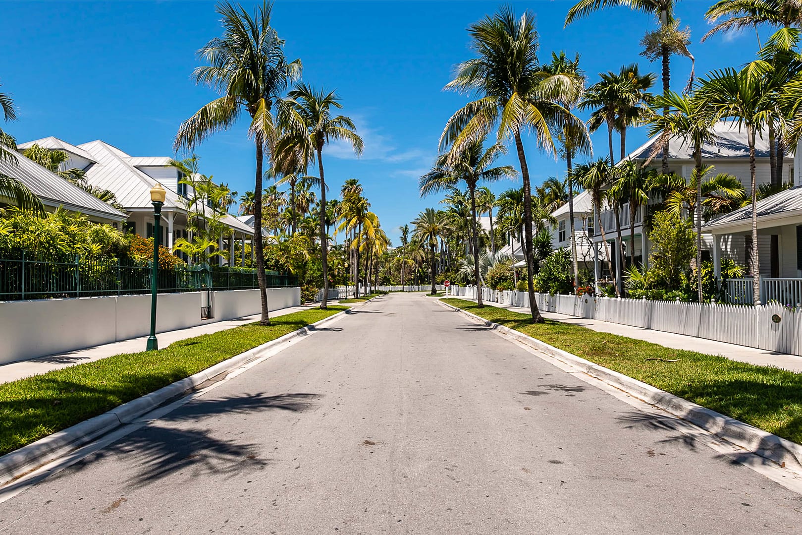 Key West neighborhood street view with palm trees