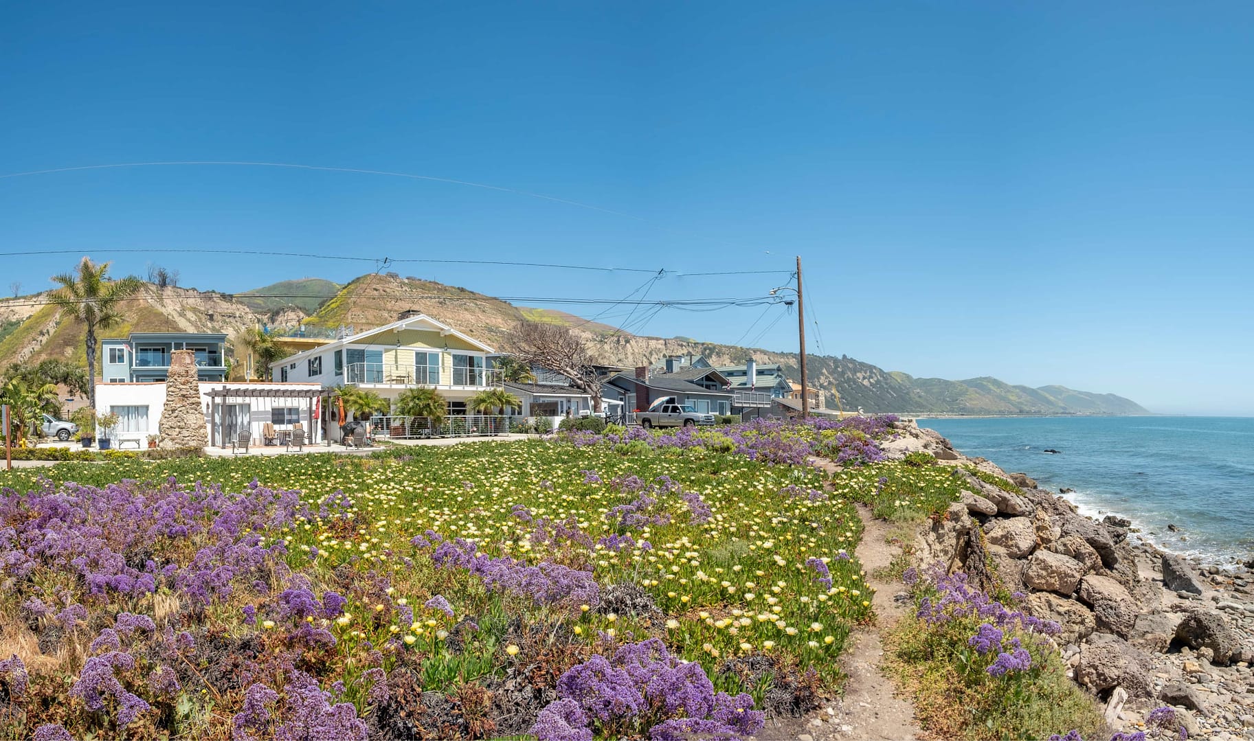 Scenic landscape with blooming spring flowers at the coast and houses at national highway No 1 in Big Sur area in California