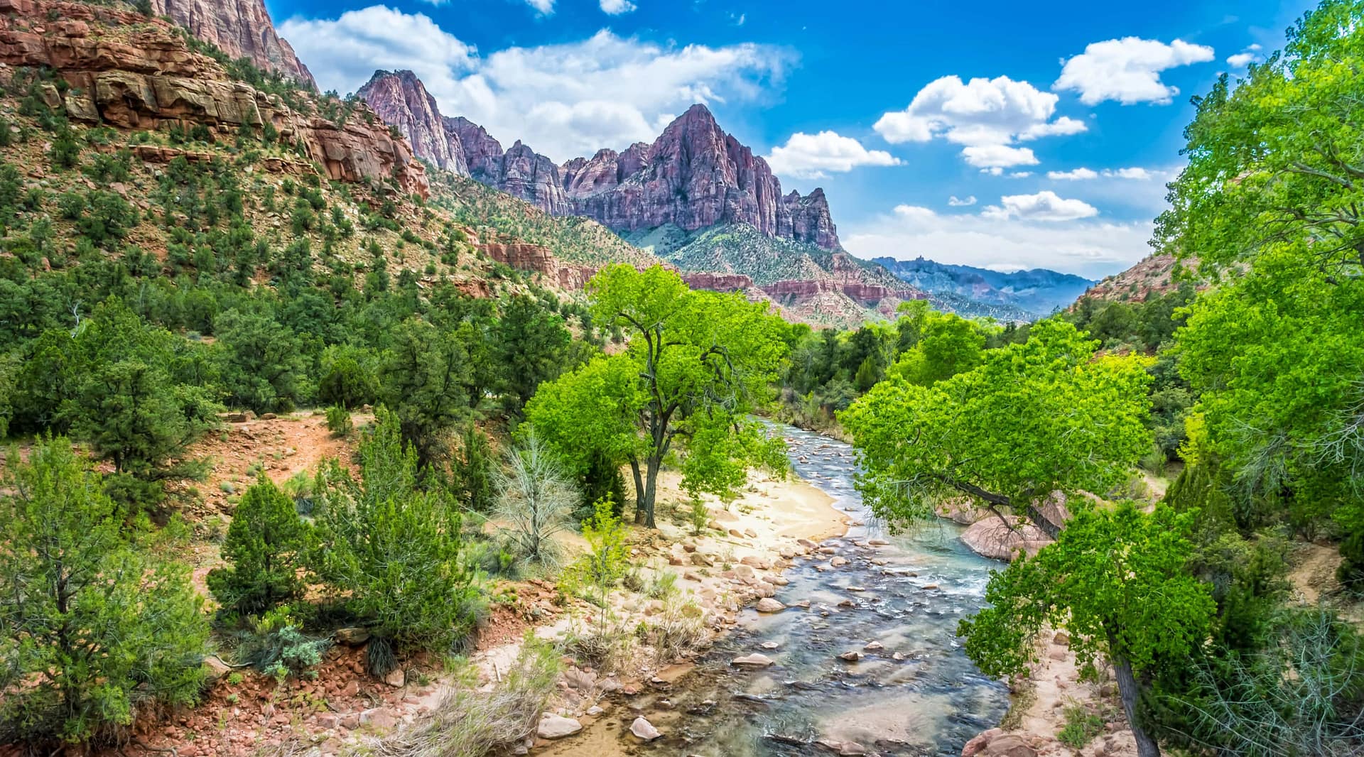 The Virgin River flows through Zion national park, Utah in springtime