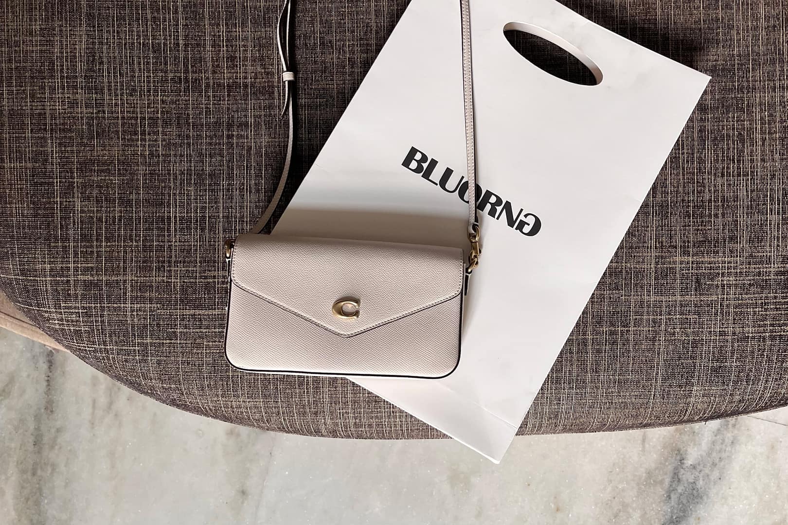A small beige Coach purse, one of the season's best purses, sits elegantly on a textured brown surface beside a white shopping bag adorned with "BLUORNO
