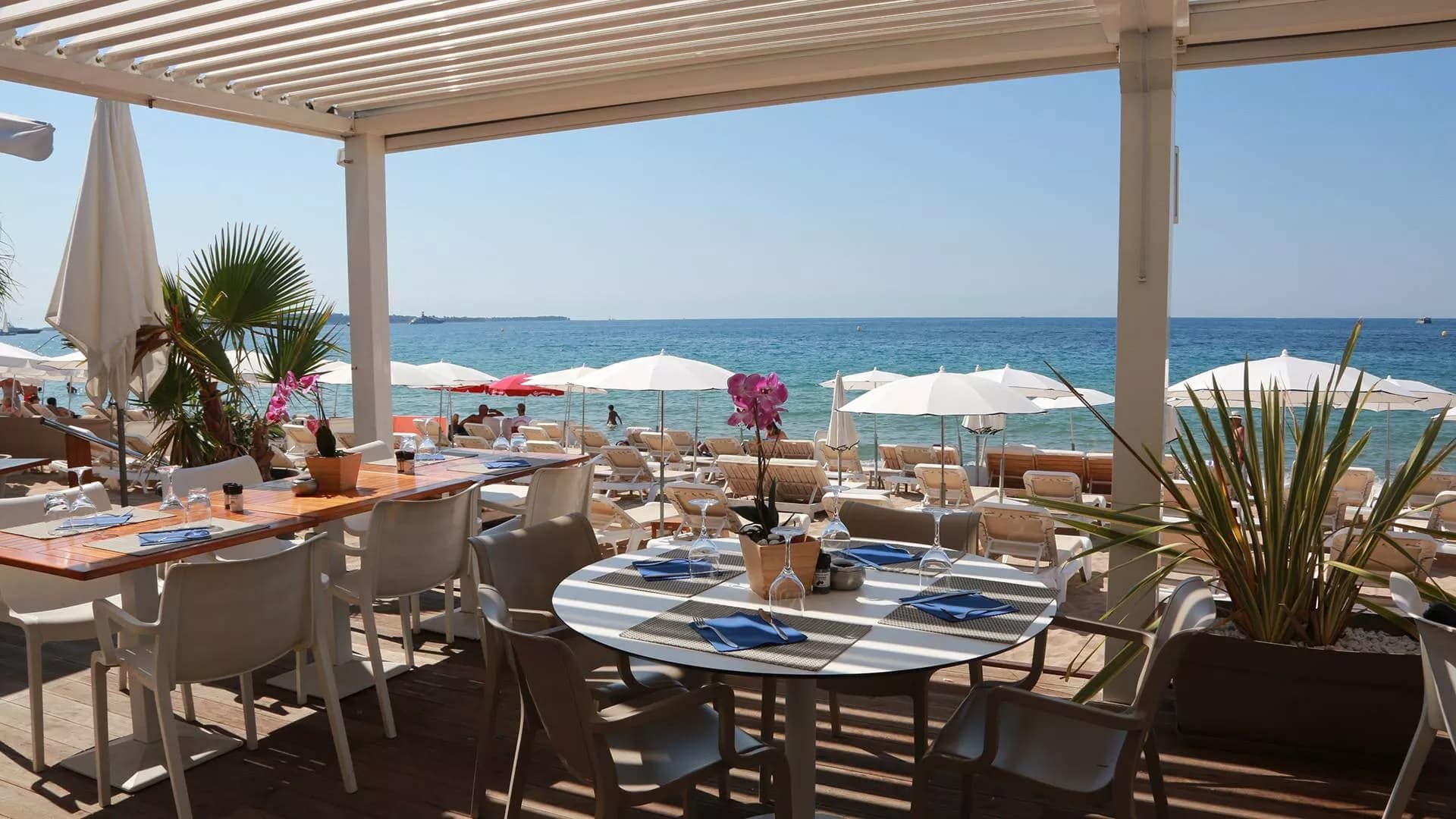 L'Alba - Restaurant Cannes, Cannes