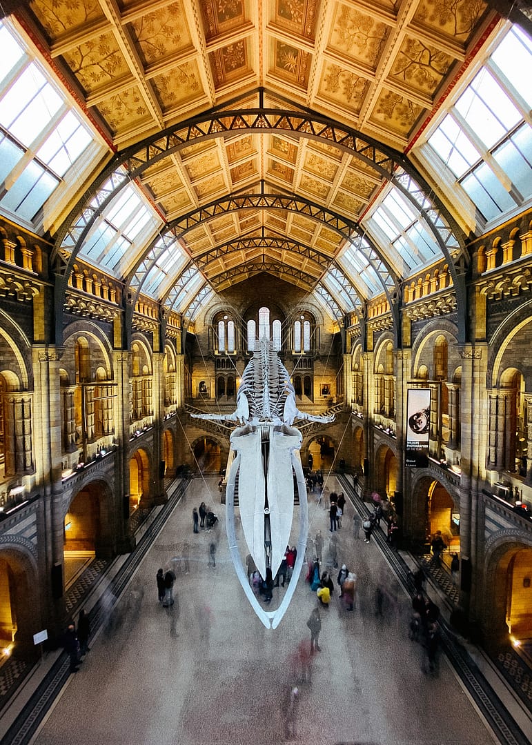 Natural History Museum, London