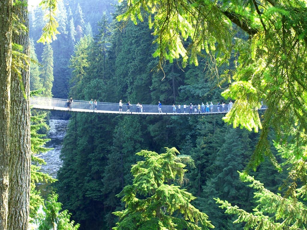 Capilano Suspension Bridge